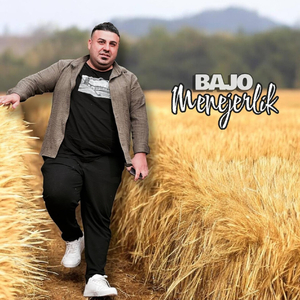 Adyama mir üç