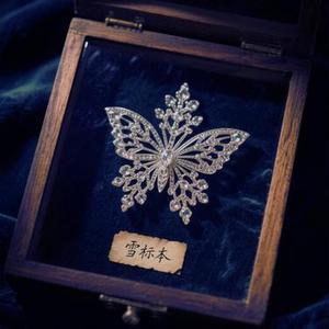 雪标本 轻柔
