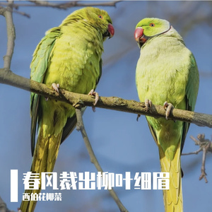 沙漠是土地的老年斑
