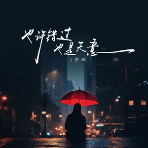 也许错过也是天意 (DJ默涵版)