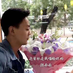 这首歌是我唱给你的