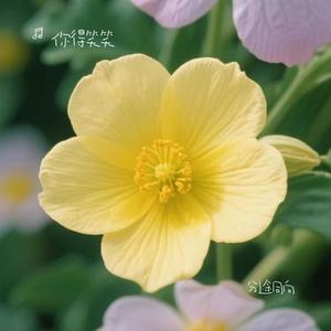 分途同向