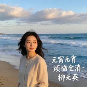 元宵元宵烦恼全消 (DJ涵涵版)