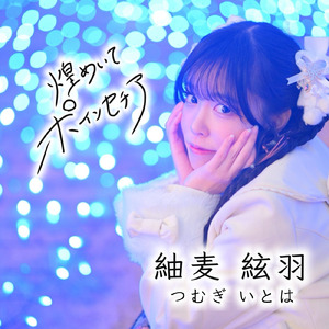 煌めいてポインセチア