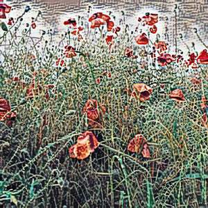 Conciliatory