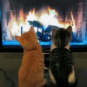 和你牵手直到世界尽头