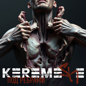 Под рёбрами