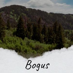 Indifferent Somebody