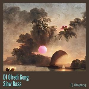 Dj Olredi Gong Slow Bass