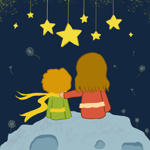 天上的星星不说话remix