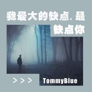 我最大的缺点，是缺点你