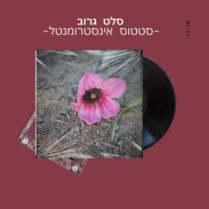 סטטוס (Instrumental)