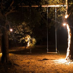 月光下的美人鱼看着人类的眼睛（手碟）