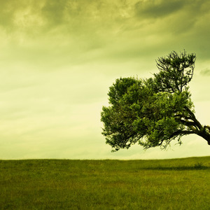 没有你的乌鲁木齐下起了雪