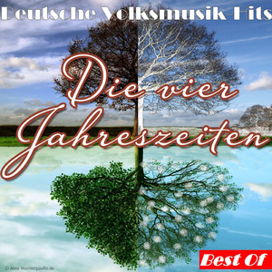 Wenn die Reben am Rhein wieder blühen