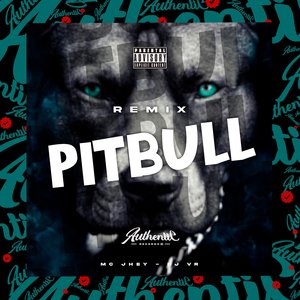 Pitbull (Remix)
