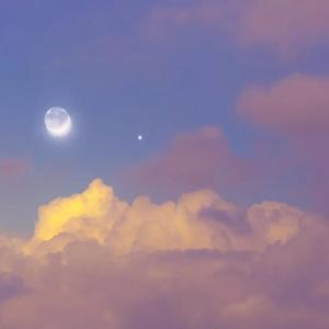 想成为你的白月光