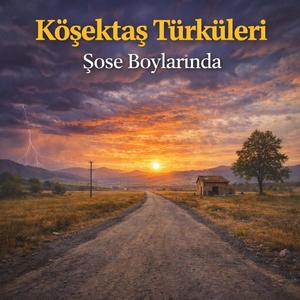 Şose Boylarında