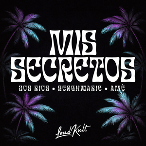 Mis Secretos