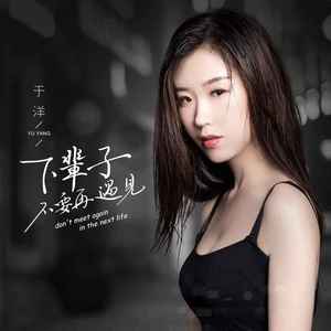 下辈子不要再遇见 (DJ默涵版)