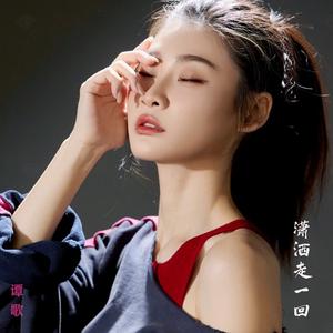 潇洒走一回 (DJ版)