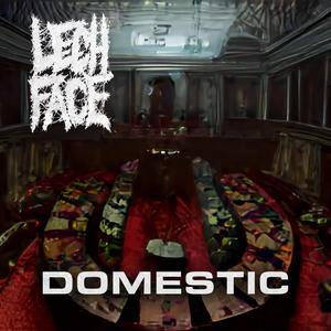 Domestic (feat. NOMVDIC)