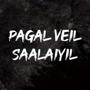 Pagal veil saalaiyil