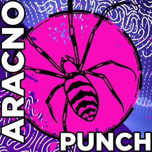 Groovy Aracno Punch #1272