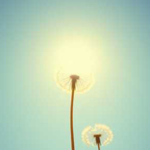 シンプルに生きようぜ