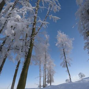 我曾爱过 陪你的冬天