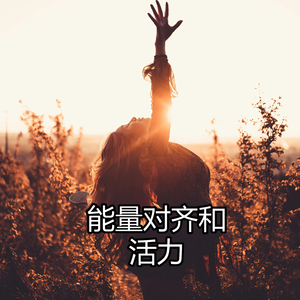 能量对齐和活力