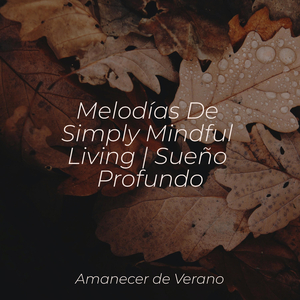 Más allá del borde del velo