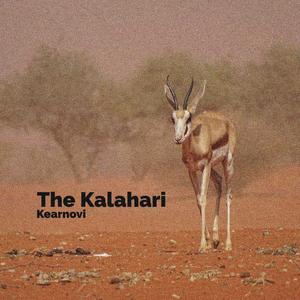 The Kalahari