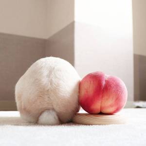 君が生まれた日【中文填词】