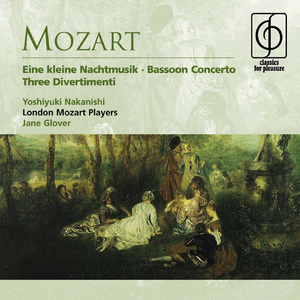 Serenade No. 13 in G 'Eine kleine Nachtmusik' K525:IV. Rondo (Allegro)