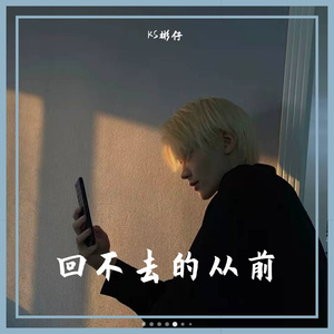 王忻辰-落差 (DJ热播版)（KS彬仔 remix）