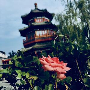 帕拉罗 (Prod By PUNISHME）