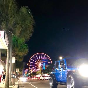 Palm City