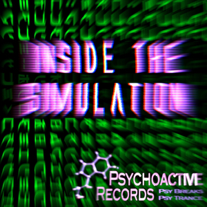 Inside The Simulation (Original Mix)