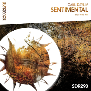 Sentimental (Intro Mix)