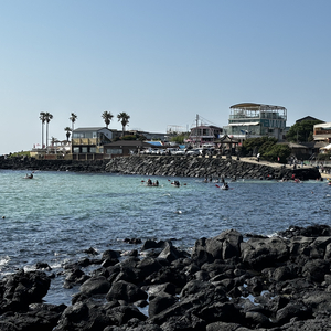 碧若空游无所依