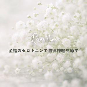 リラクゼーション - 緊張を解きほぐす夜のための音楽療法