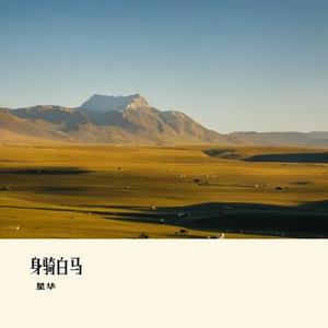 写不完的温柔 (星华 Remix)