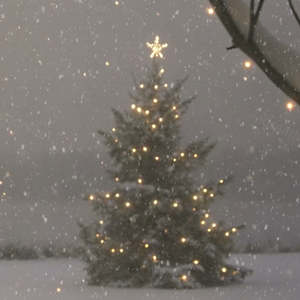 在槲寄生下说分手