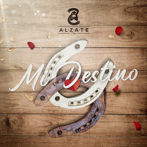 Mi Destino