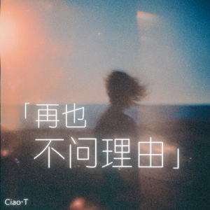再也不问理由（沧桑版）