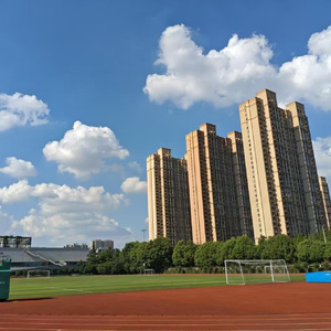 曙光下的幸存者