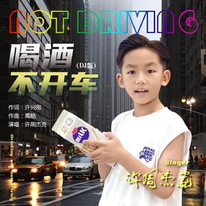 喝酒不开车 (DJ默涵版)