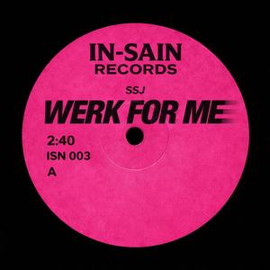 WERK FOR ME (Radio Edit)