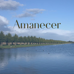 Empoderamiento del Aura